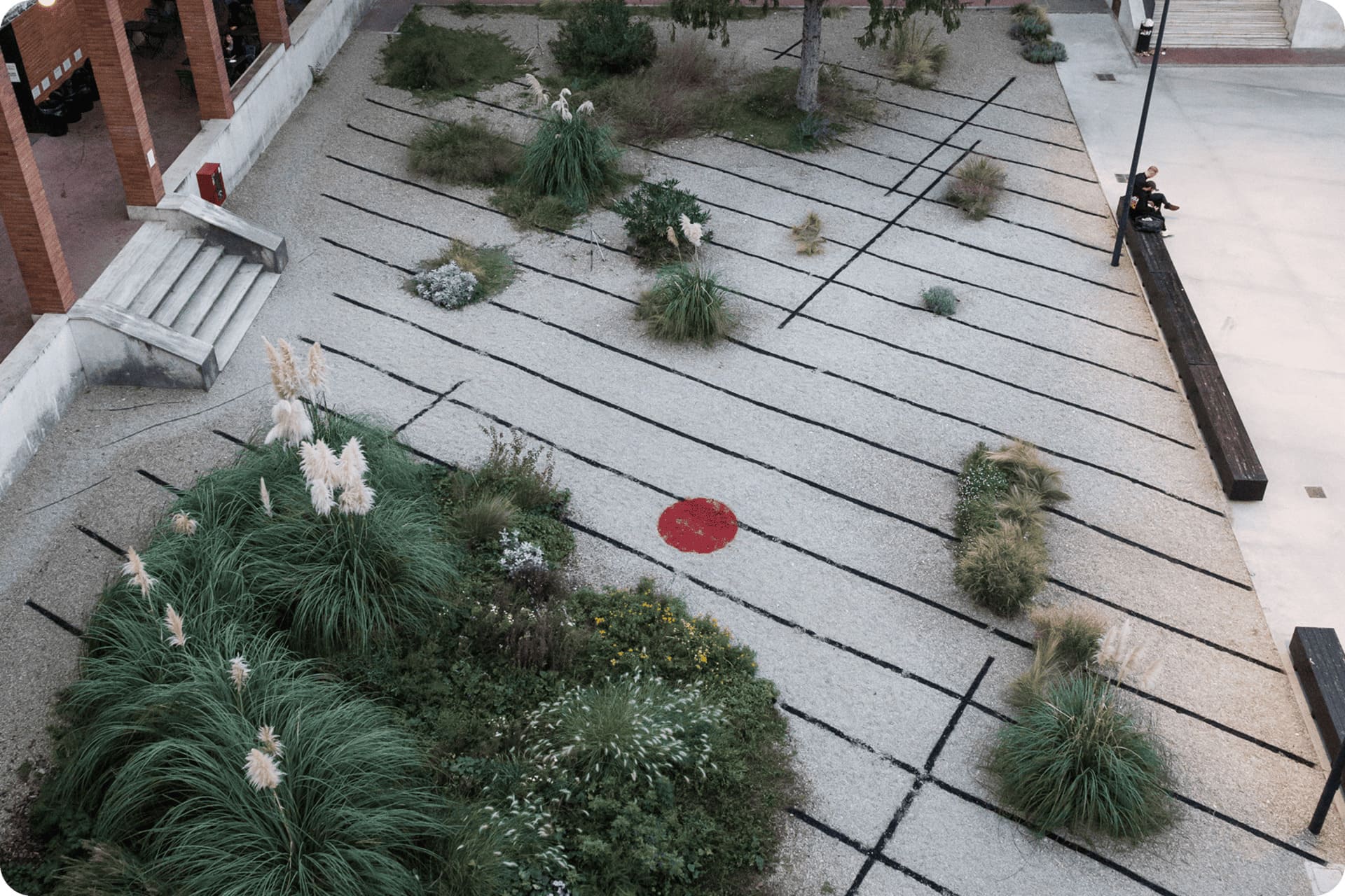 Lama – Partner – Crea Connect